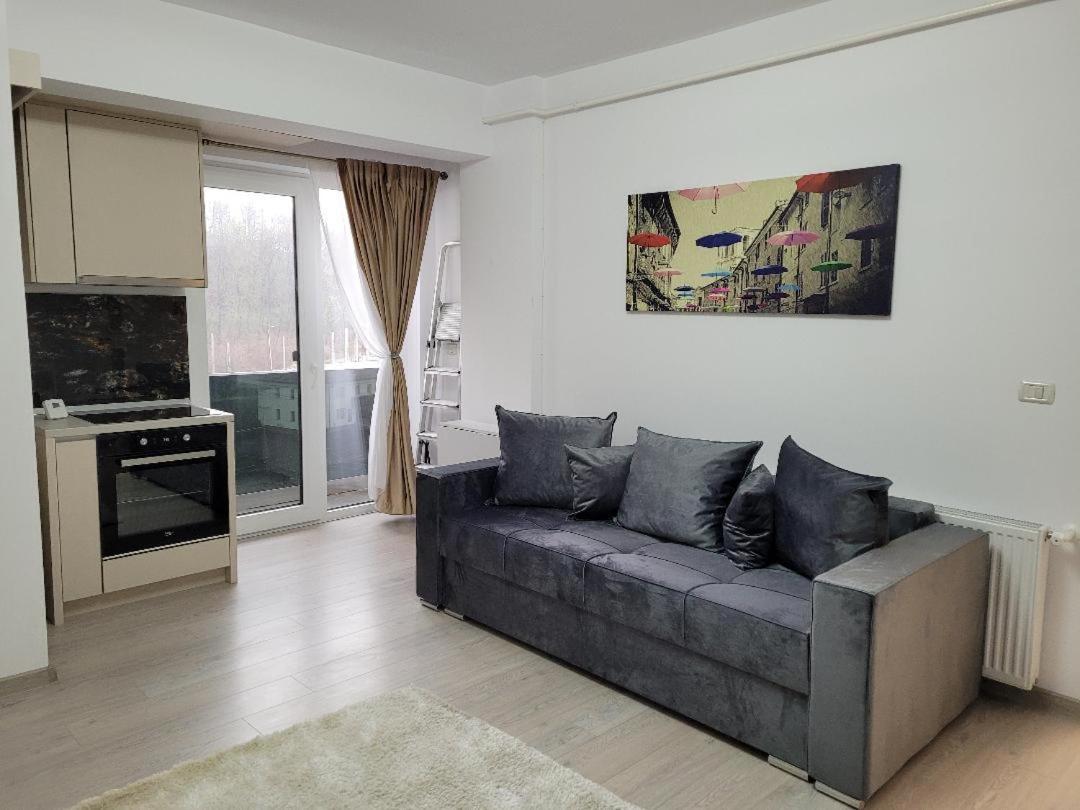 Balada Apartment Suceava Luaran gambar